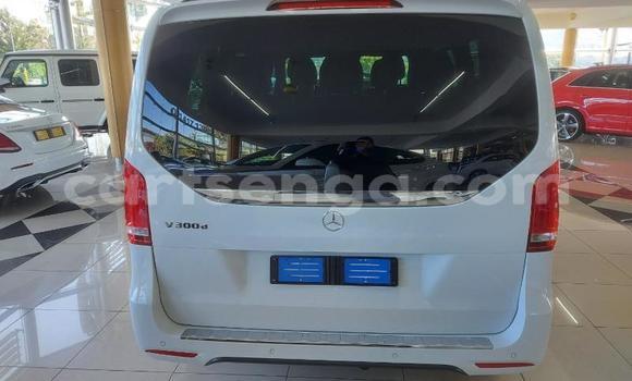 Nunua Ilio tumika Mercedes Viano White Gari ndani ya Ezulwini nchini Hhohho Nunua Ilio tumika Mercedes Viano White Gari ndani ya Ezulwini nchini Hhohho