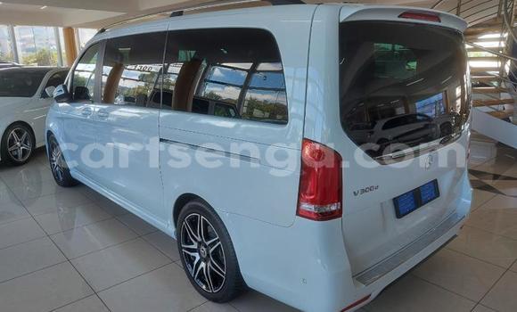 Nunua Ilio tumika Mercedes Viano White Gari ndani ya Ezulwini nchini Hhohho Nunua Ilio tumika Mercedes Viano White Gari ndani ya Ezulwini nchini Hhohho