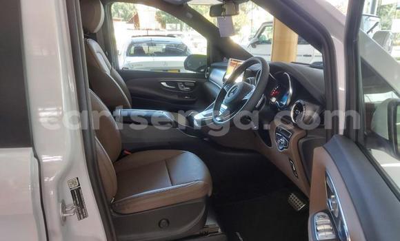 Nunua Ilio tumika Mercedes Viano White Gari ndani ya Ezulwini nchini Hhohho Nunua Ilio tumika Mercedes Viano White Gari ndani ya Ezulwini nchini Hhohho