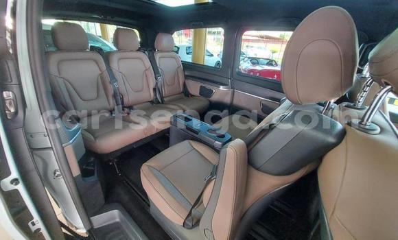 Nunua Ilio tumika Mercedes Viano White Gari ndani ya Ezulwini nchini Hhohho Nunua Ilio tumika Mercedes Viano White Gari ndani ya Ezulwini nchini Hhohho