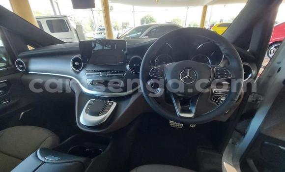 Nunua Ilio tumika Mercedes Viano White Gari ndani ya Ezulwini nchini Hhohho Nunua Ilio tumika Mercedes Viano White Gari ndani ya Ezulwini nchini Hhohho