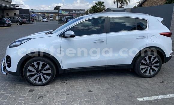 Nunua Ilio tumika Kia Sportage White Gari ndani ya Hluti nchini Wilaya ya Shiselweni Nunua Ilio tumika Kia Sportage White Gari ndani ya Hluti nchini Wilaya ya Shiselweni