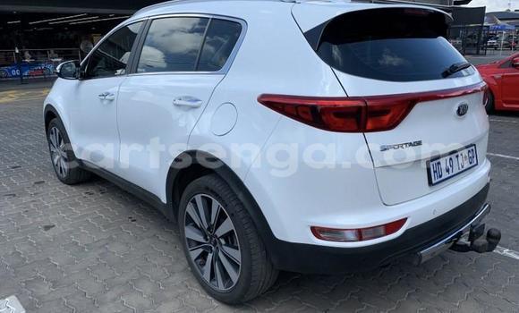 Nunua Ilio tumika Kia Sportage White Gari ndani ya Hluti nchini Wilaya ya Shiselweni Nunua Ilio tumika Kia Sportage White Gari ndani ya Hluti nchini Wilaya ya Shiselweni