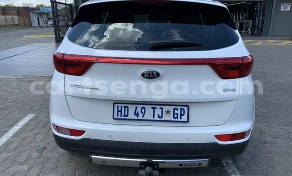 Nunua Ilio tumika Kia Sportage White Gari ndani ya Hluti nchini Wilaya ya Shiselweni Nunua Ilio tumika Kia Sportage White Gari ndani ya Hluti nchini Wilaya ya Shiselweni