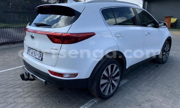 Nunua Ilio tumika Kia Sportage White Gari ndani ya Hluti nchini Wilaya ya Shiselweni Nunua Ilio tumika Kia Sportage White Gari ndani ya Hluti nchini Wilaya ya Shiselweni