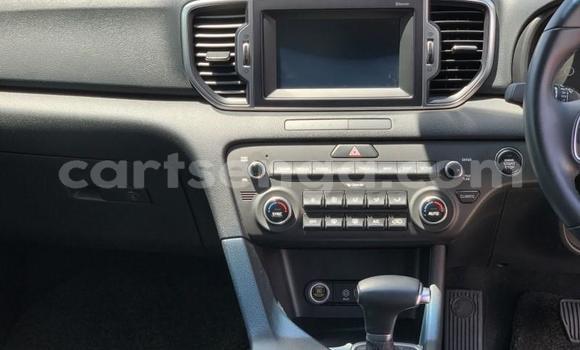 Nunua Ilio tumika Kia Sportage White Gari ndani ya Hluti nchini Wilaya ya Shiselweni Nunua Ilio tumika Kia Sportage White Gari ndani ya Hluti nchini Wilaya ya Shiselweni