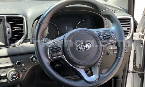 Nunua Ilio tumika Kia Sportage White Gari ndani ya Hluti nchini Wilaya ya Shiselweni Nunua Ilio tumika Kia Sportage White Gari ndani ya Hluti nchini Wilaya ya Shiselweni
