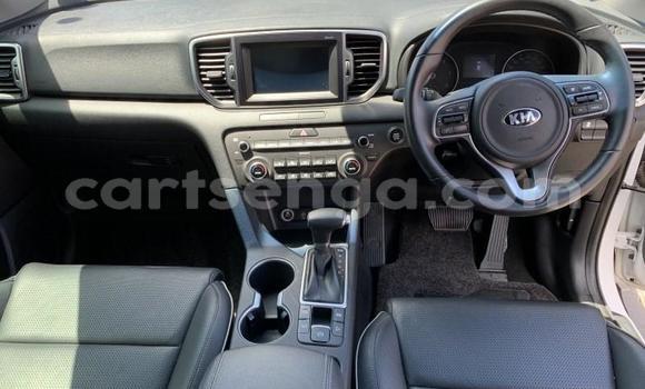 Nunua Ilio tumika Kia Sportage White Gari ndani ya Hluti nchini Wilaya ya Shiselweni Nunua Ilio tumika Kia Sportage White Gari ndani ya Hluti nchini Wilaya ya Shiselweni