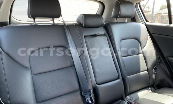 Nunua Ilio tumika Kia Sportage White Gari ndani ya Hluti nchini Wilaya ya Shiselweni Nunua Ilio tumika Kia Sportage White Gari ndani ya Hluti nchini Wilaya ya Shiselweni