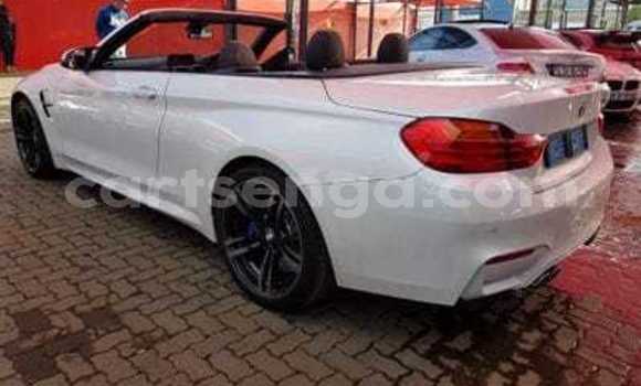 Buy Used BMW M4 White Car in Big Bend in Lubombo Buy Used BMW M4 White Car in Big Bend in Lubombo