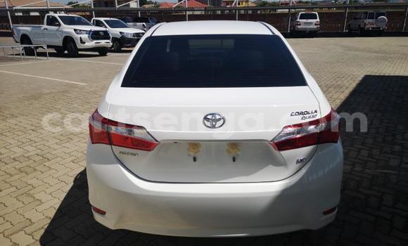 Nunua Ilio tumika Toyota Corolla White Gari ndani ya Manzini nchini Manzini Nunua Ilio tumika Toyota Corolla White Gari ndani ya Manzini nchini Manzini