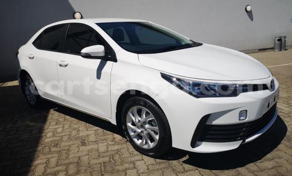Nunua Ilio tumika Toyota Corolla White Gari ndani ya Manzini nchini Manzini Nunua Ilio tumika Toyota Corolla White Gari ndani ya Manzini nchini Manzini