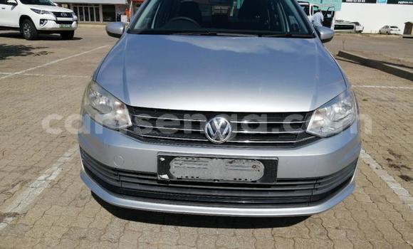 Acheter Occasion Voiture Volkswagen Polo Gris à Big Bend, Lubombo