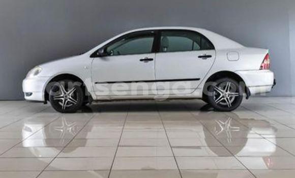 Acheter Occasion Voiture Toyota Corolla Gris à Ezulwini, Hhohho Acheter Occasion Voiture Toyota Corolla Gris à Ezulwini, Hhohho