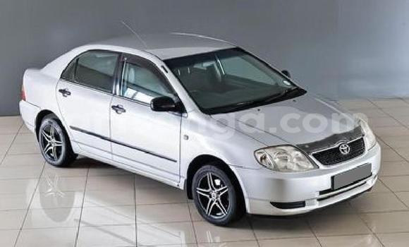Acheter Occasion Voiture Toyota Corolla Gris à Ezulwini, Hhohho Acheter Occasion Voiture Toyota Corolla Gris à Ezulwini, Hhohho
