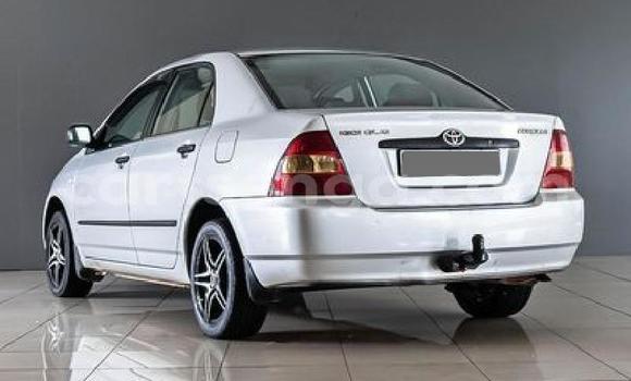 Acheter Occasion Voiture Toyota Corolla Gris à Ezulwini, Hhohho Acheter Occasion Voiture Toyota Corolla Gris à Ezulwini, Hhohho