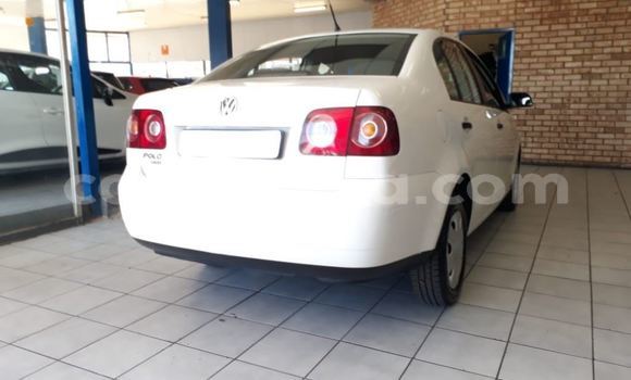 Buy Used Volkswagen Polo White Car in Ezulwini in Hhohho Buy Used Volkswagen Polo White Car in Ezulwini in Hhohho