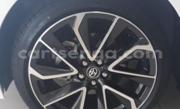 Buy Used Toyota Corolla White Car in Hlatikulu in Shiselweni District Buy Used Toyota Corolla White Car in Hlatikulu in Shiselweni District