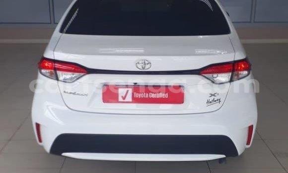 Buy Used Toyota Corolla White Car in Hlatikulu in Shiselweni District Buy Used Toyota Corolla White Car in Hlatikulu in Shiselweni District