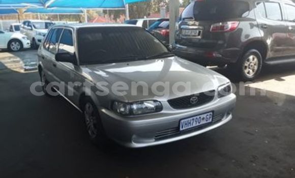 Acheter Occasion Voiture Toyota Tacoma Gris à Ezulwini, Hhohho Acheter Occasion Voiture Toyota Tacoma Gris à Ezulwini, Hhohho