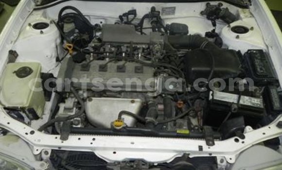 Buy Used Toyota Tacoma White Car in Ezulwini in Hhohho Buy Used Toyota Tacoma White Car in Ezulwini in Hhohho