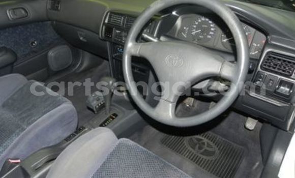 Buy Used Toyota Tacoma White Car in Ezulwini in Hhohho Buy Used Toyota Tacoma White Car in Ezulwini in Hhohho