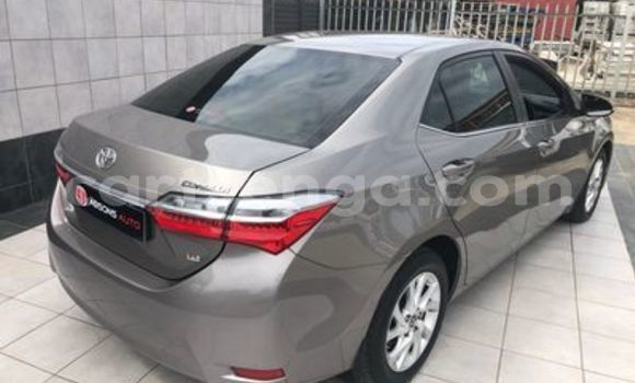 Nunua Ilio tumika Toyota Corolla Brown Gari ndani ya Ezulwini nchini Hhohho Nunua Ilio tumika Toyota Corolla Brown Gari ndani ya Ezulwini nchini Hhohho