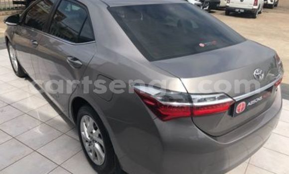Nunua Ilio tumika Toyota Corolla Brown Gari ndani ya Ezulwini nchini Hhohho Nunua Ilio tumika Toyota Corolla Brown Gari ndani ya Ezulwini nchini Hhohho