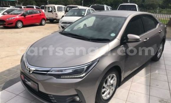 Nunua Ilio tumika Toyota Corolla Brown Gari ndani ya Ezulwini nchini Hhohho Nunua Ilio tumika Toyota Corolla Brown Gari ndani ya Ezulwini nchini Hhohho