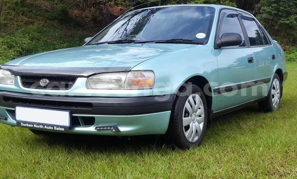 Nunua Ilio tumika Toyota Corolla Green Gari ndani ya Ezulwini nchini Hhohho