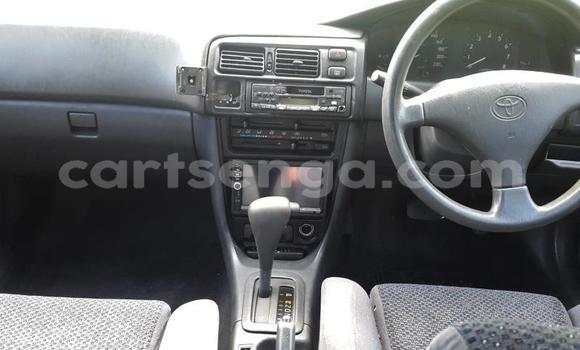 Nunua Ilio tumika Toyota Corolla Green Gari ndani ya Ezulwini nchini Hhohho Nunua Ilio tumika Toyota Corolla Green Gari ndani ya Ezulwini nchini Hhohho