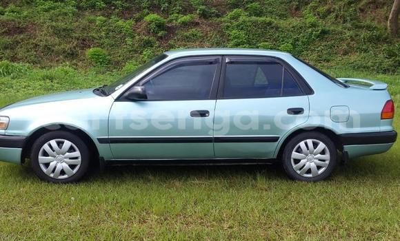 Nunua Ilio tumika Toyota Corolla Green Gari ndani ya Ezulwini nchini Hhohho Nunua Ilio tumika Toyota Corolla Green Gari ndani ya Ezulwini nchini Hhohho