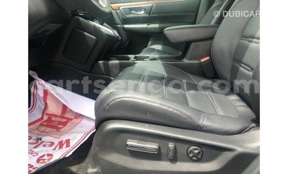 Nunua Imported Honda C Other Bike ndani ya Import - Dubai nchini Hhohho Nunua Imported Honda C Other Bike ndani ya Import - Dubai nchini Hhohho