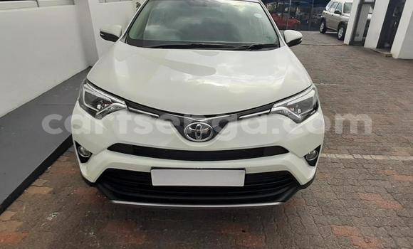 Nunua Ilio tumika Toyota RAV4 White Gari ndani ya Big Bend nchini Lubombo Nunua Ilio tumika Toyota RAV4 White Gari ndani ya Big Bend nchini Lubombo