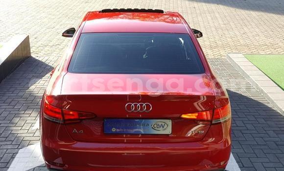Acheter Occasion Voiture Audi A4 Rouge à Mbabane, Manzini Acheter Occasion Voiture Audi A4 Rouge à Mbabane, Manzini