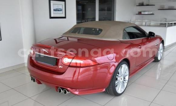 Buy Used Jaguar X–Type Red Car in Mbabane in Manzini Buy Used Jaguar X–Type Red Car in Mbabane in Manzini