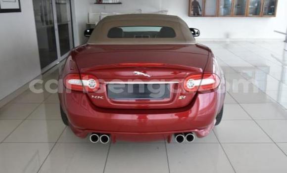 Buy Used Jaguar X–Type Red Car in Mbabane in Manzini Buy Used Jaguar X–Type Red Car in Mbabane in Manzini