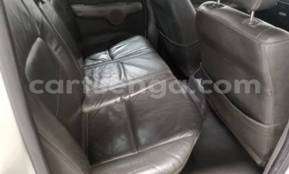 Acheter Occasion Voiture FORD MUSTANG Blanc à Big Bend, Lubombo District Acheter Occasion Voiture FORD MUSTANG Blanc à Big Bend, Lubombo District