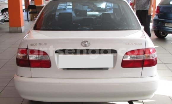 Nunua Ilio tumika Toyota Corolla White Gari ndani ya Big Bend nchini Lubombo Nunua Ilio tumika Toyota Corolla White Gari ndani ya Big Bend nchini Lubombo