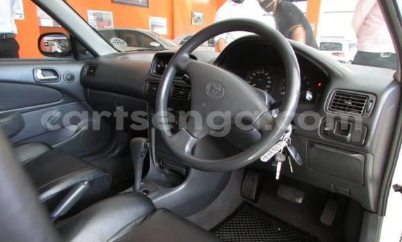 Nunua Ilio tumika Toyota Corolla White Gari ndani ya Big Bend nchini Lubombo Nunua Ilio tumika Toyota Corolla White Gari ndani ya Big Bend nchini Lubombo