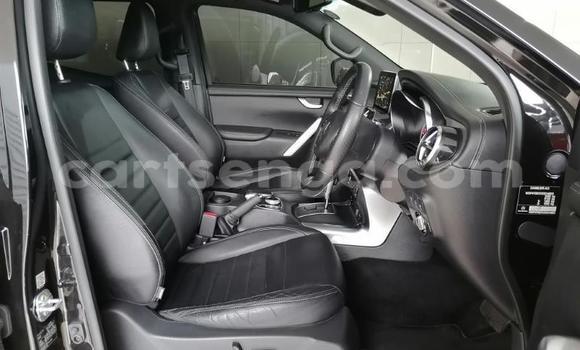 Nunua Ilio tumika Mercedes‒Benz X-klasse Concept Black Gari ndani ya Big Bend nchini Lubombo Nunua Ilio tumika Mercedes‒Benz X-klasse Concept Black Gari ndani ya Big Bend nchini Lubombo