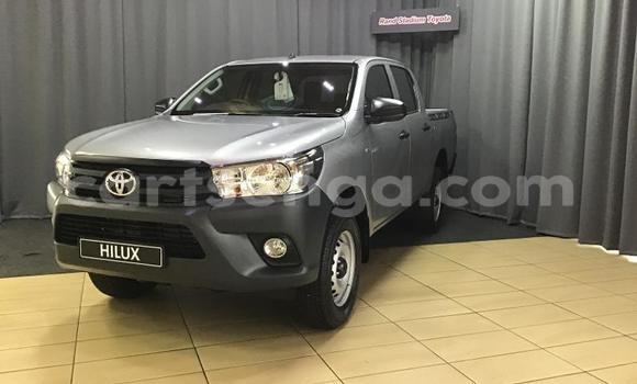 Buy Used Toyota Hilux Silver Car in Lavumisa in Shiselweni District Buy Used Toyota Hilux Silver Car in Lavumisa in Shiselweni District