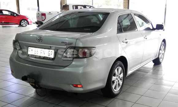 Acheter Occasion Voiture Toyota Corolla Gris à Hlatikulu, Shiselweni District Acheter Occasion Voiture Toyota Corolla Gris à Hlatikulu, Shiselweni District