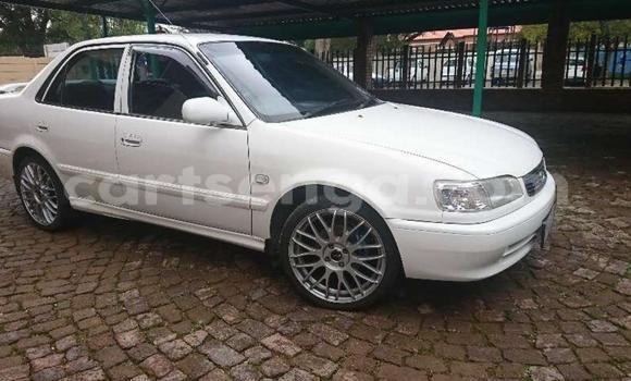 Buy Used Toyota Corolla White Car in Big Bend in Lubombo