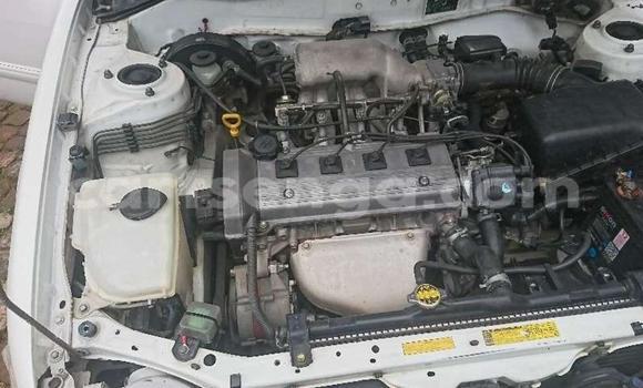 Nunua Ilio tumika Toyota Corolla White Gari ndani ya Big Bend nchini Lubombo Nunua Ilio tumika Toyota Corolla White Gari ndani ya Big Bend nchini Lubombo