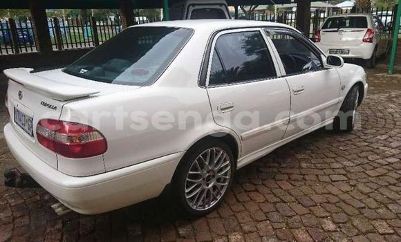 Nunua Ilio tumika Toyota Corolla White Gari ndani ya Big Bend nchini Lubombo Nunua Ilio tumika Toyota Corolla White Gari ndani ya Big Bend nchini Lubombo