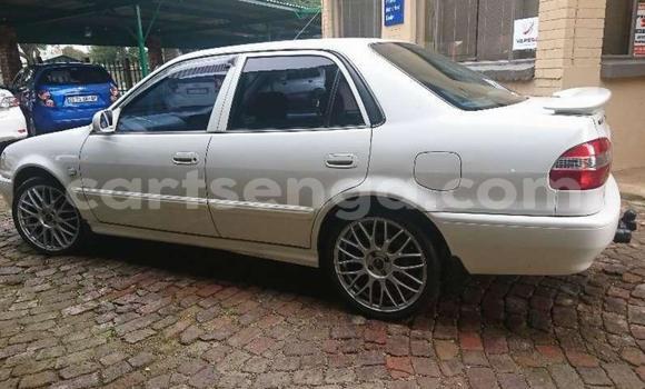 Nunua Ilio tumika Toyota Corolla White Gari ndani ya Big Bend nchini Lubombo Nunua Ilio tumika Toyota Corolla White Gari ndani ya Big Bend nchini Lubombo