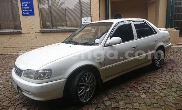 Nunua Ilio tumika Toyota Corolla White Gari ndani ya Big Bend nchini Lubombo Nunua Ilio tumika Toyota Corolla White Gari ndani ya Big Bend nchini Lubombo