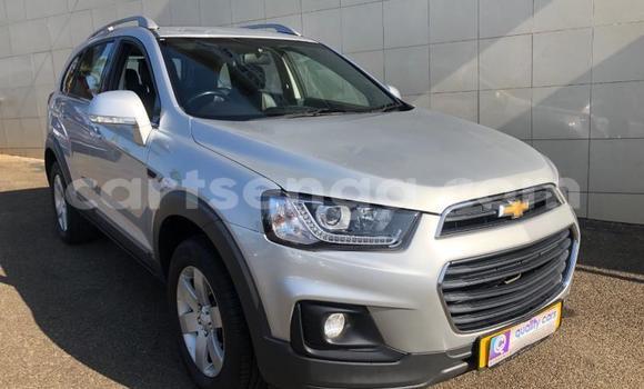 Buy Used Chevrolet Captiva Other Car in Big Bend in Lubombo District