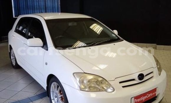 Nunua Ilio tumika Toyota Runx White Gari ndani ya Big Bend nchini Wilaya ya Lubombo Nunua Ilio tumika Toyota Runx White Gari ndani ya Big Bend nchini Wilaya ya Lubombo